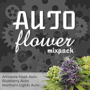 autoflower marijuana seeds variety pack