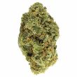 Cheese Feminized Cannabis Bud