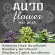 Autoflower Mix Seed Variety Pack