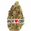 OG Kush CBD feminized cannabis bud