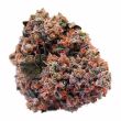 Strawberry Kush feminized marijuana bud