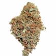 White Widow feminized cannabis bud