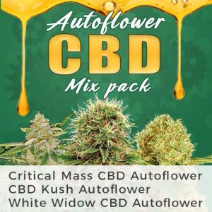 Autoflower CBD Marijuana Seed Variety Pack