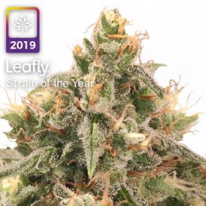 wedding cake leafly strain of the year 2019