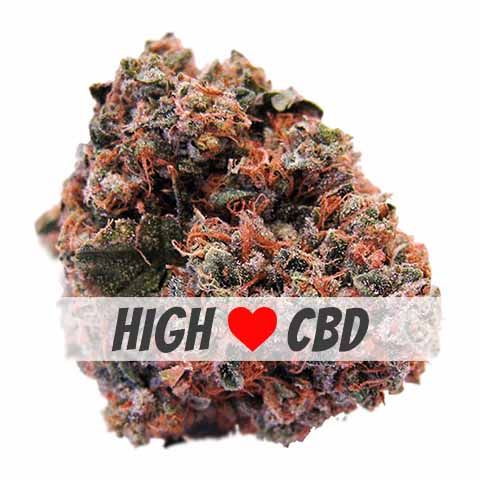 Strawberry Kush high CBD feminized marijuana bud