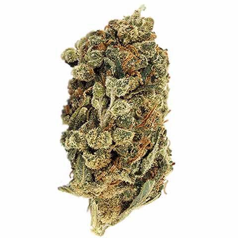 Super Skunk feminized cannabis bud