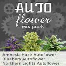 Autoflower Mix Seed Variety Pack