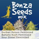 Bonza Seeds Mix Pack Seed Variety Pack